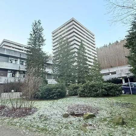 Mountain - Modernes Mit Schwimmbad Und Sauna - Im Harz *