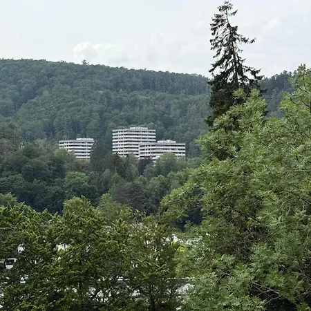 Mountain - Modernes Mit Schwimmbad Und Sauna - Im Harz