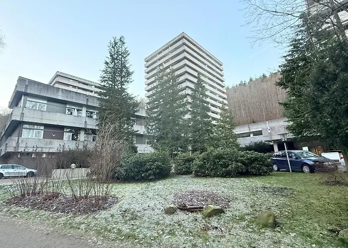 Mountain - Modernes Mit Schwimmbad Und Sauna - Im Harz *