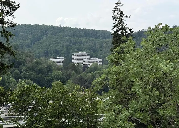 Mountain - Modernes Mit Schwimmbad Und Sauna - Im Harz