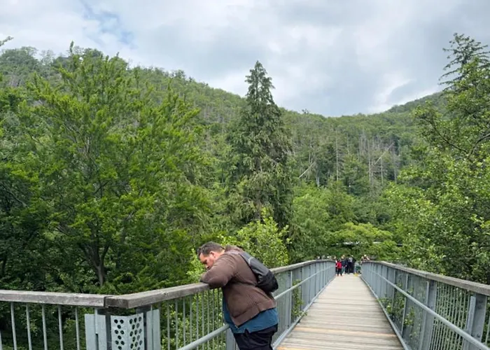 Mountain - Modernes Mit Schwimmbad Und Sauna - Im Harz * 巴特哈尔茨堡